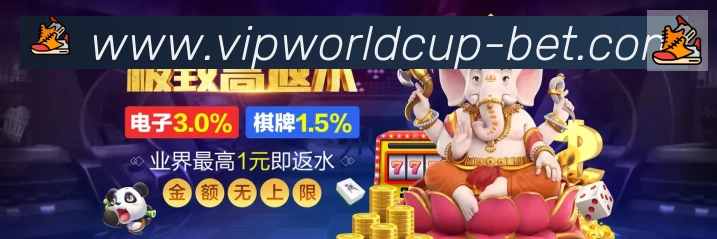未来规划